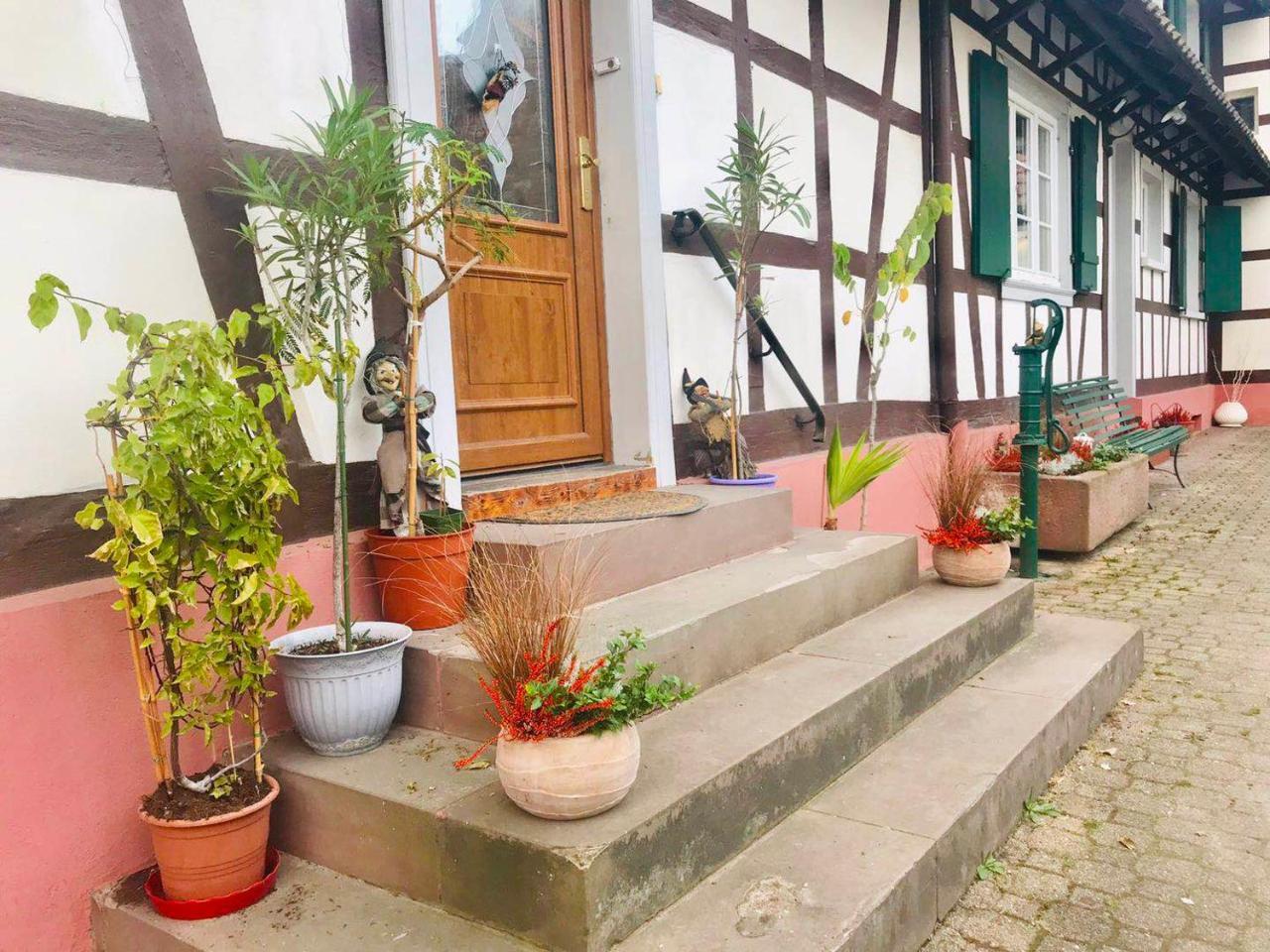Appartement T3 Aux Deux Cigognes Gries ภายนอก รูปภาพ